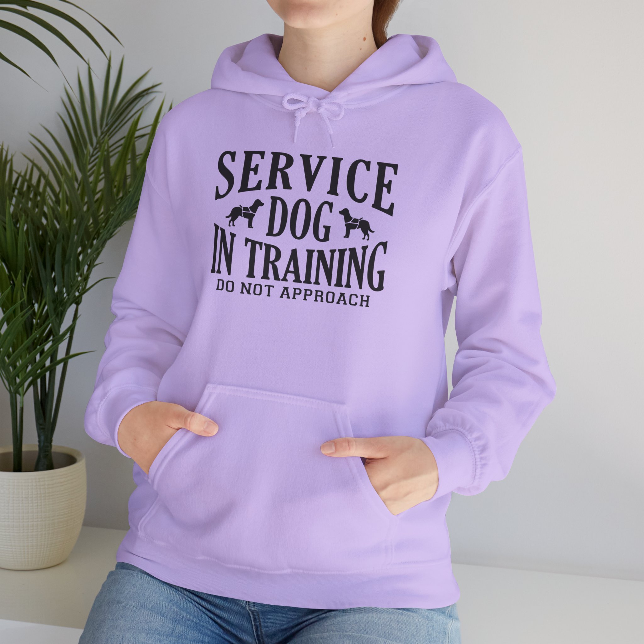 12810567433347881608_2048.jpeg Service Dog in Training Hoodie, Unisex Sweatshirt - Image 1