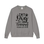 Dog in Training Sweatshirt, Unisex ComfortWash Crewneck Sweatshirt - Image 9