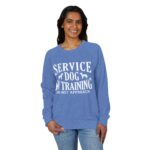 Service Dog Training Crewneck Sweatshirt, Unisex Raglan Pullover - Image 15